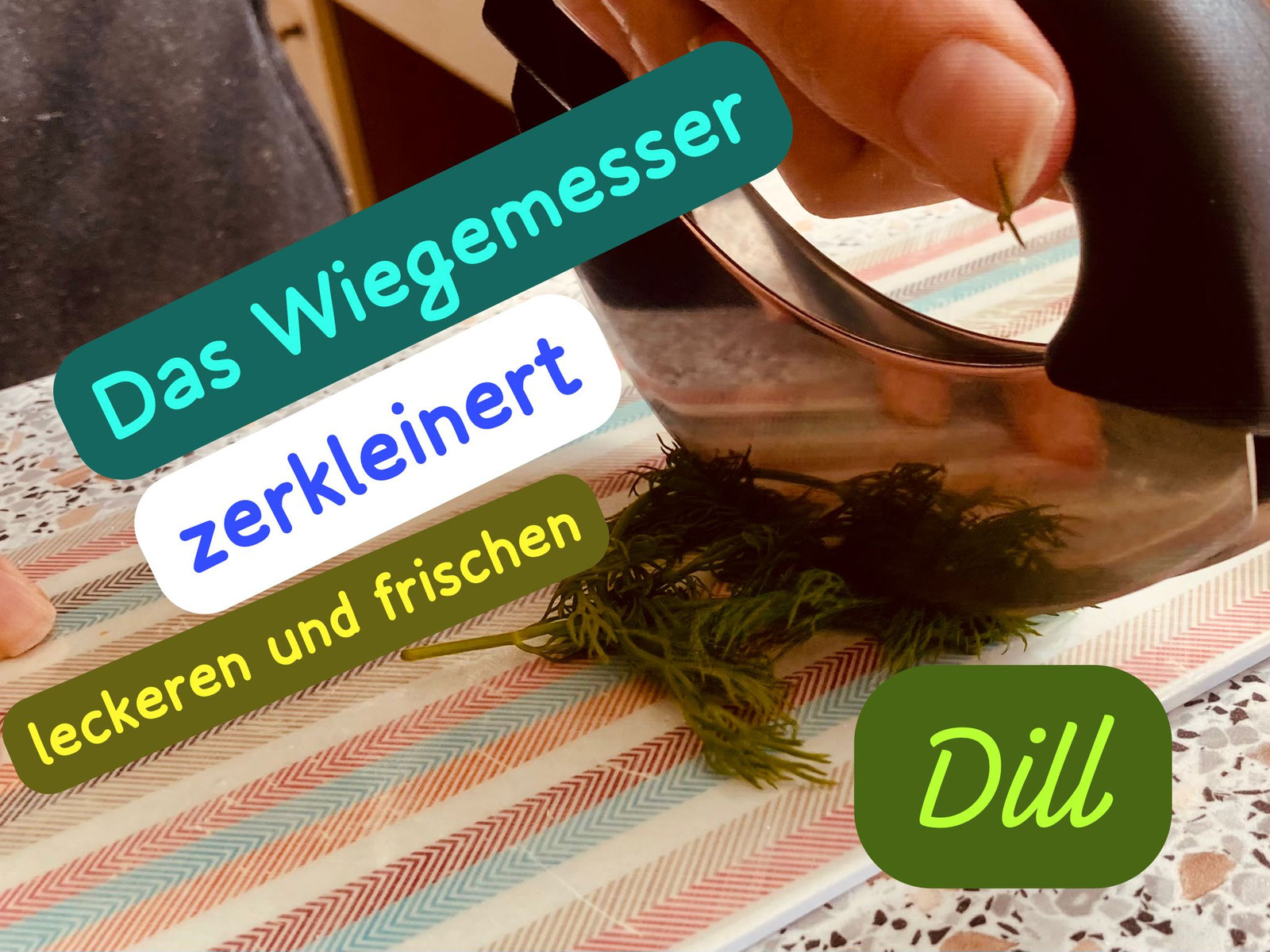 Frischer Dill wird mit einem Wiegemesser zerkleinert